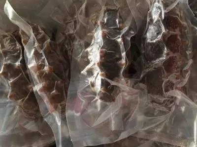 半干海参怎么保存