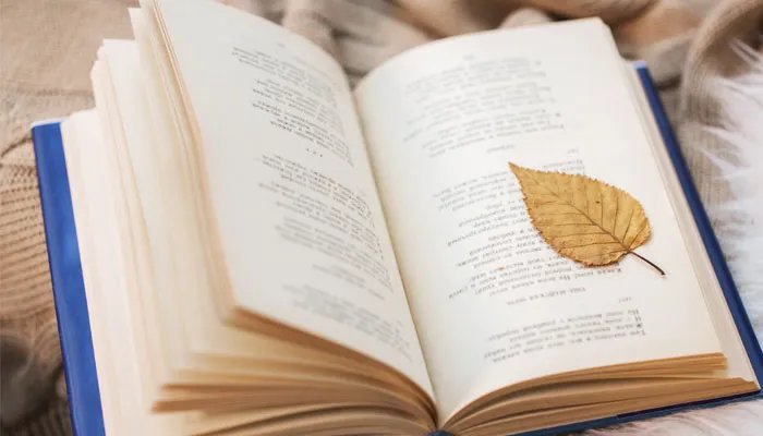 一块变九块打一成语