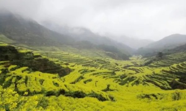 跃入眼帘是什么意思？