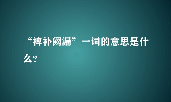 “裨补阙漏”一词的意思是什么？