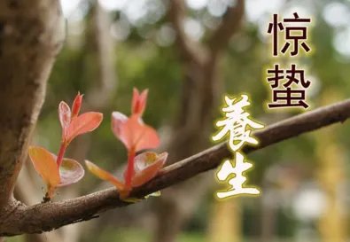 惊蛰怎么读，惊蛰怎么读，惊蛰广东话怎么读