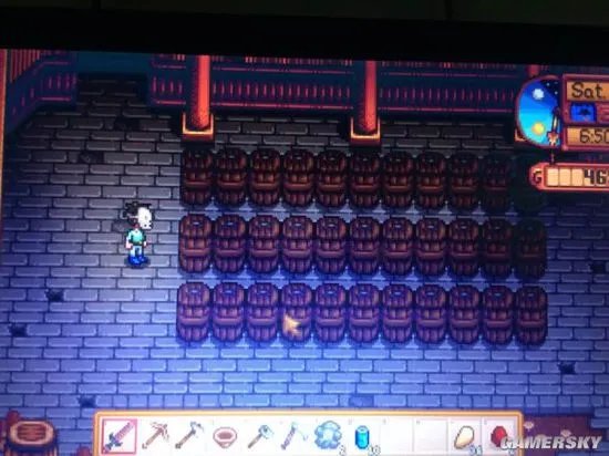 《星露谷物语》地窖作用及实用性分析 地窖能赚钱吗