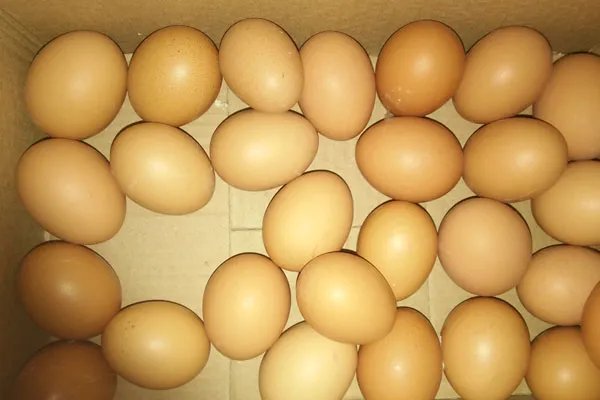 鸡蛋减肥法 这样吃鸡蛋能帮助减肥