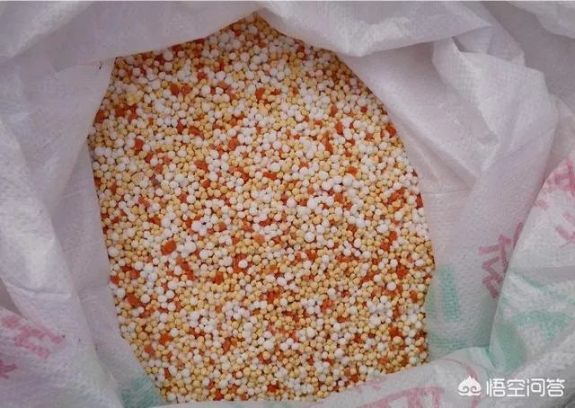 复合肥冬储价格行情如何？