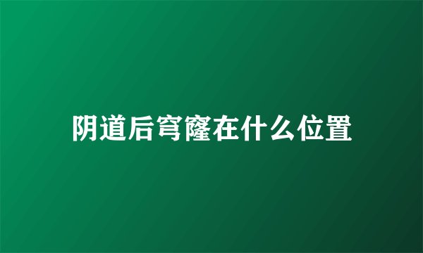 阴道后穹窿在什么位置
