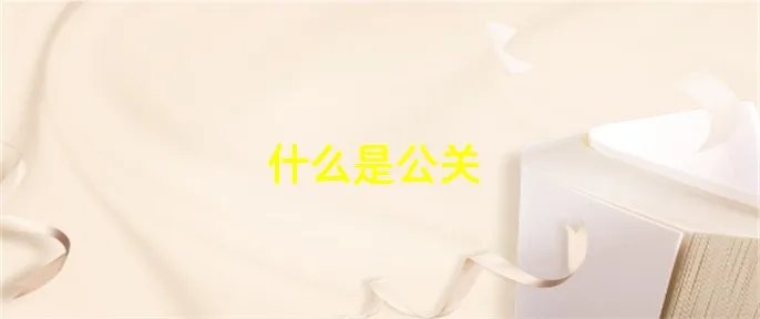 什么是公关