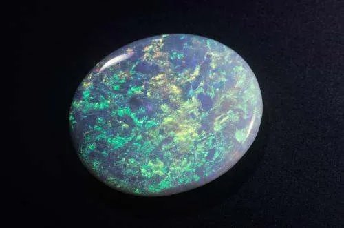 澳大利亚有什么特产