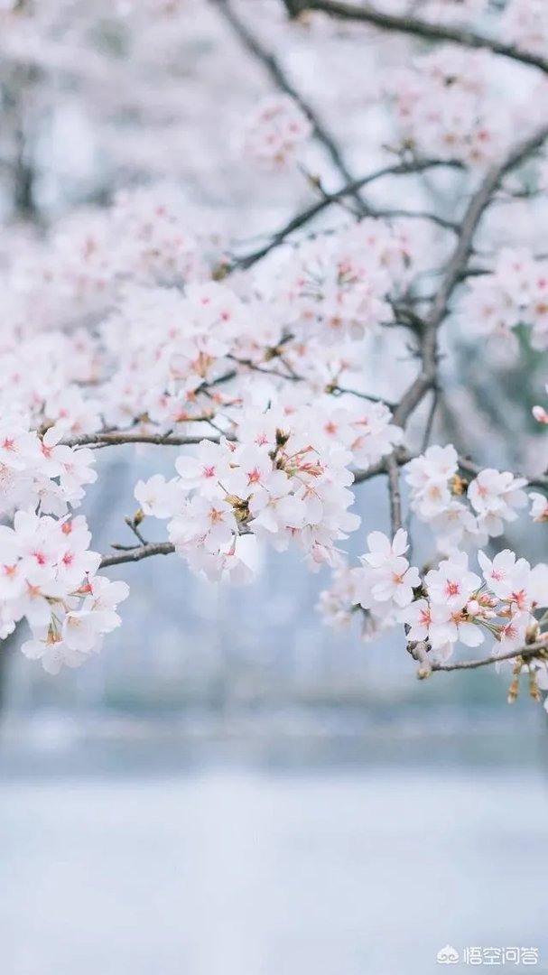 有什么好看的、景色秀丽的壁纸？