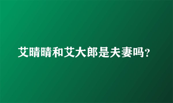 艾晴晴和艾大郎是夫妻吗？