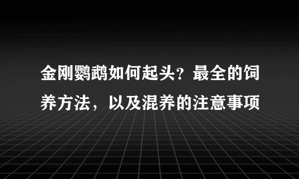 金刚鹦鹉如何起头？最全的饲养方法，以及混养的注意事项