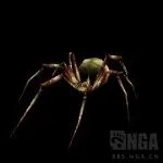 魔兽世界纳克萨玛斯蜘蛛区攻略