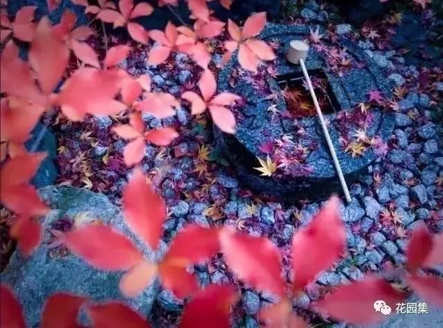 枯山水之置石造景艺术，就是这么有魅力~