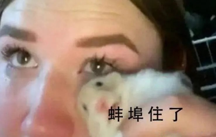 蚌埠住了是什么意思哦 是什么梗蚌埠怎么读