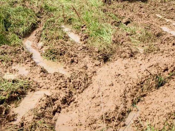 泥石流是什么意思