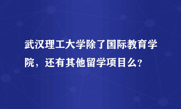武汉理工大学除了国际教育学院，还有其他留学项目么？
