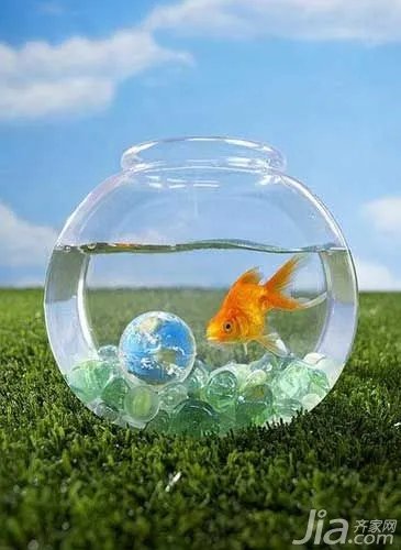 2016年必知的养鱼风水大全(图)