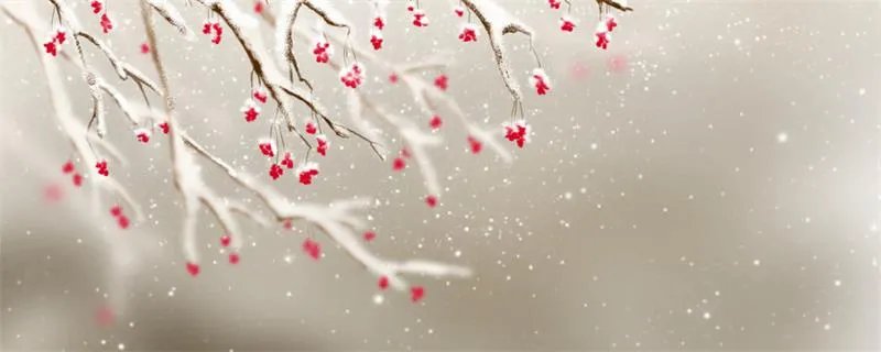 犹有花枝俏原文及翻译 犹有花枝俏原文是什么