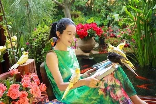 杨丽萍一直戴帽子，背后究竟隐藏着什么原因？