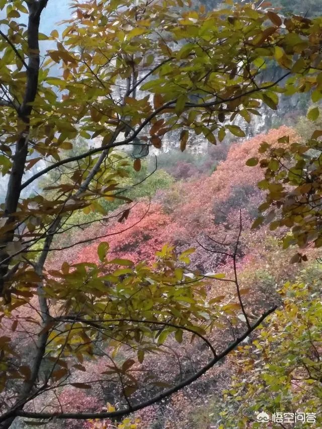 邢台云梦山怎么样啊？