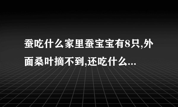 蚕吃什么家里蚕宝宝有8只,外面桑叶摘不到,还吃什么?要确定的,吃完死了惟你是问.
