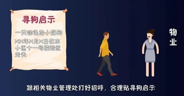 找狗的最好办法？