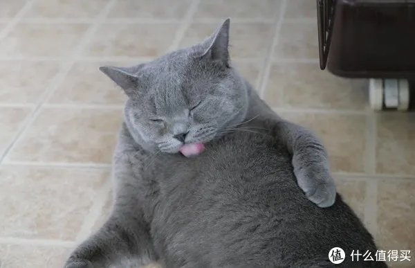 松下相机怎么样