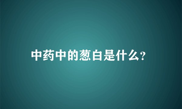 中药中的葱白是什么？