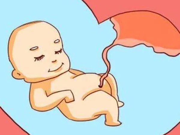 哪15个信号会暗示你怀孕了？