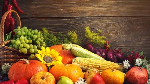 滋阴降火的食物