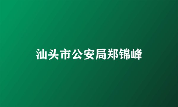 汕头市公安局郑锦峰