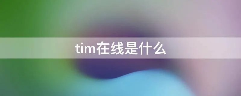 tim在线是什么