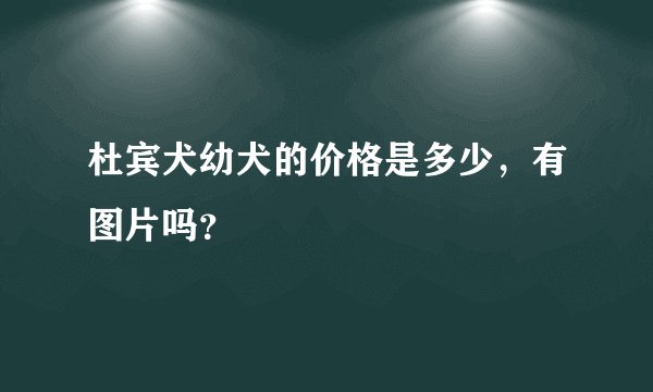 杜宾犬幼犬的价格是多少，有图片吗？
