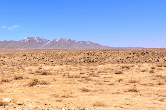 芜怎么读音组词