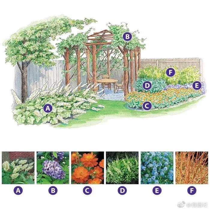 一些花园和花境的设计方案，给大家做参考～