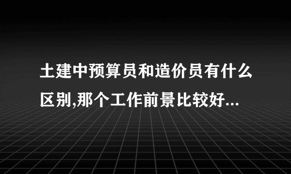 土建中预算员和造价员有什么区别,那个工作前景比较好,我不是学这个专业的,不知道考出来认可吗?
