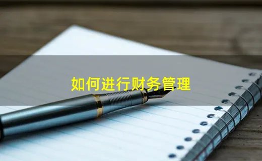 如何进行财务管理