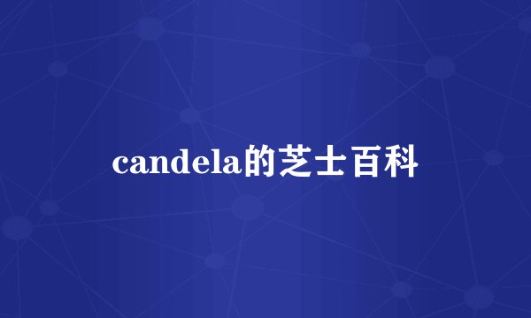 candela的芝士百科