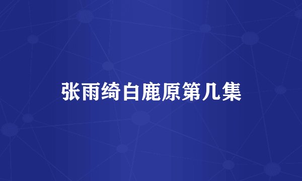 张雨绮白鹿原第几集