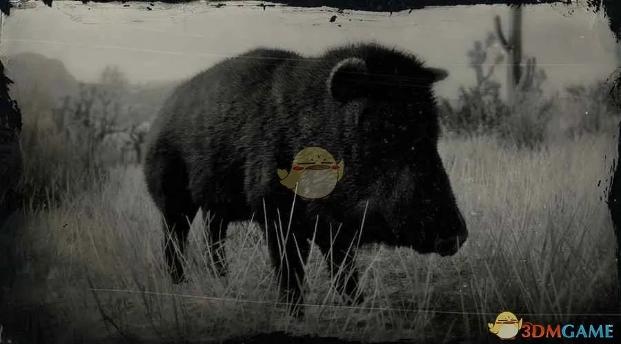 《荒野大镖客2》领西猯图鉴一览