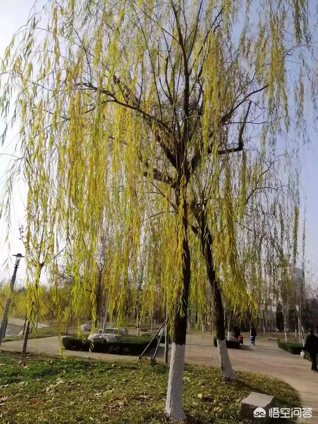 现在的90后是不是真的已经老了？