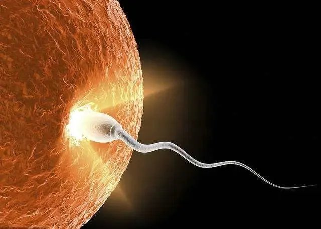 邢台试管助孕怎么收费-邢台市第三代试管婴儿多少钱？