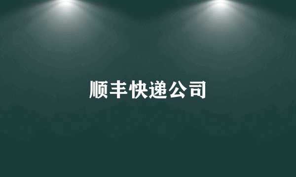 顺丰快递公司