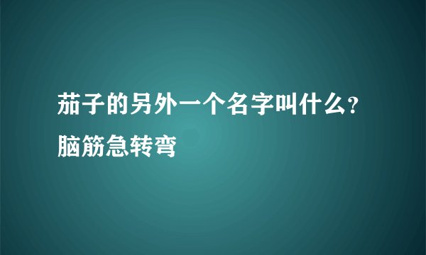 茄子的另外一个名字叫什么？脑筋急转弯