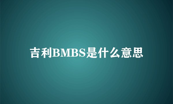 吉利BMBS是什么意思
