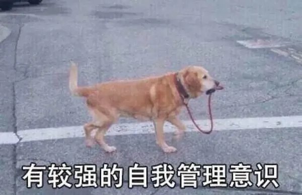 别去外面买！自己做料足又健康，小朋友也能放心吃！