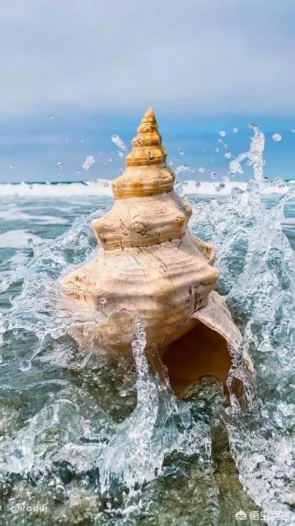 有什么好看的、景色秀丽的壁纸？