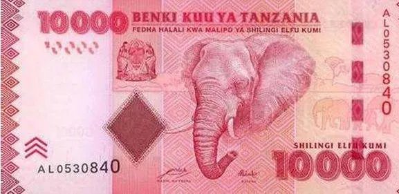 坦桑尼亚银行1000纸币价值多少人民币？
