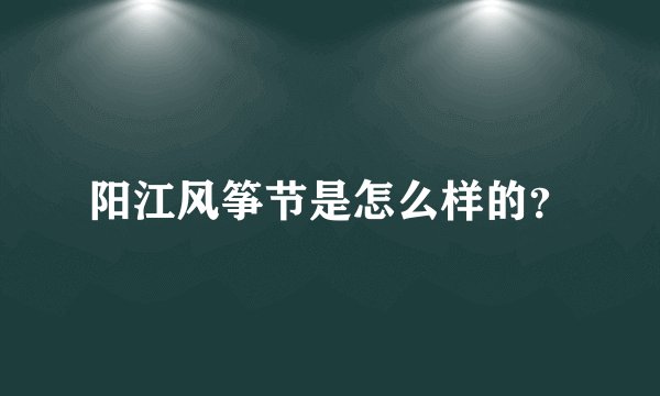 阳江风筝节是怎么样的？