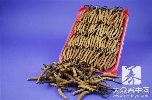 冬虫夏草这种名贵药材究竟该如何吃呢？