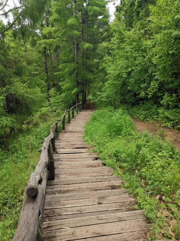 做梦梦见棺材是什么意思？